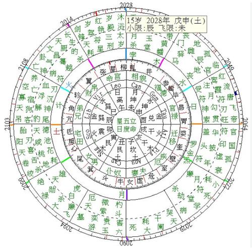 七政四余洞微大限的排法