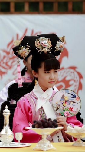 花落宫廷错流年