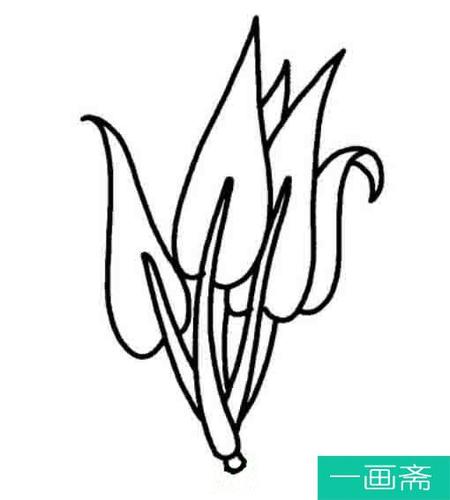 空心菜可爱简笔画