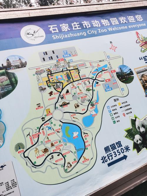 石家庄市动物园儿童/学生/老人票门票