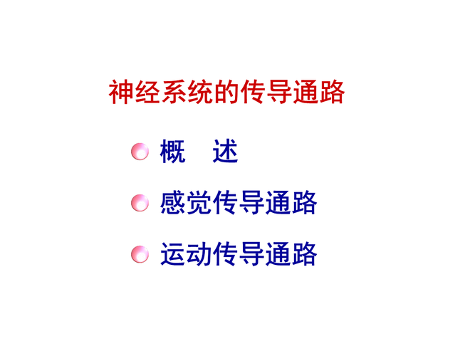 系统解剖学-神经传导路.ppt