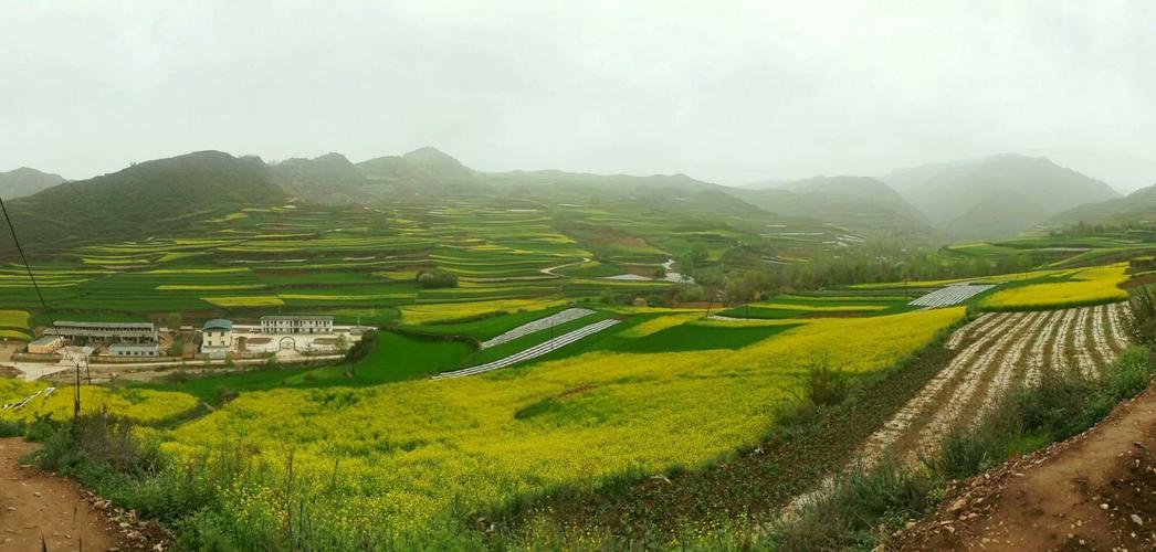 我们的家乡风景如画,山青水秀
