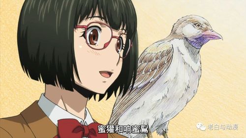 一月新番测评 | 《牙斗兽娘》,战斗热血福利皆具,一月