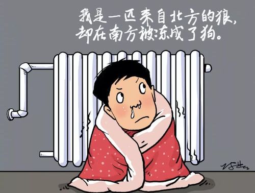 北方的暖气到底有多热?