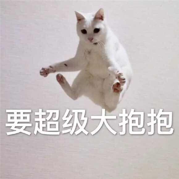 抱抱表情包合集|我好累,我要哥哥抱着睡