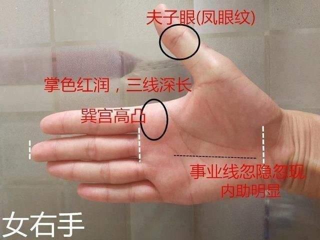 不论男女手上这处"高凸"者,财福兴发,一生清闲有福!