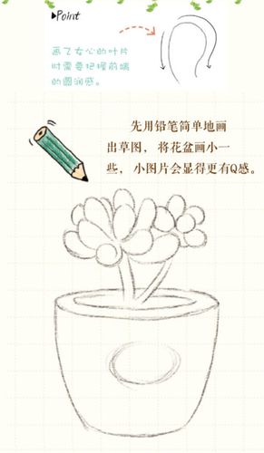 多肉植物彩铅画画法 多肉植物小盆栽怎么画 简单教程