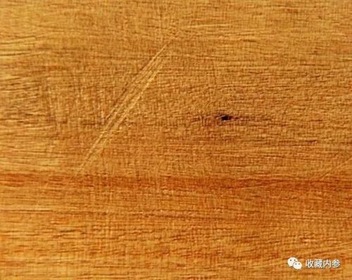 西南),四时不凋,木大者可数人合抱,肌理细而错综有纹,切面光滑有光泽