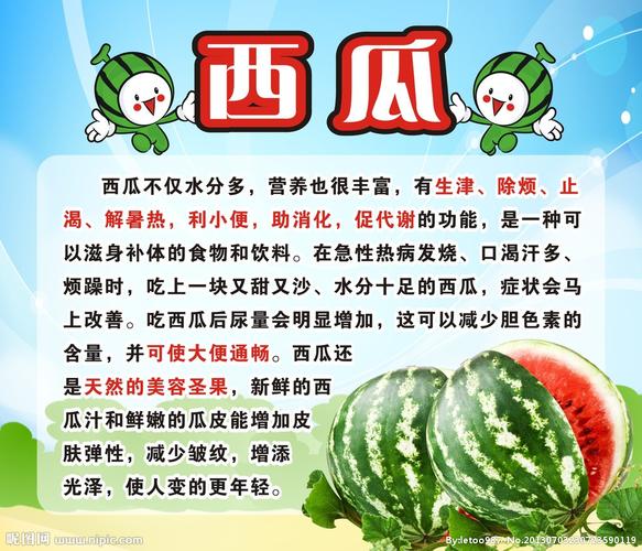 西瓜营养牌图片