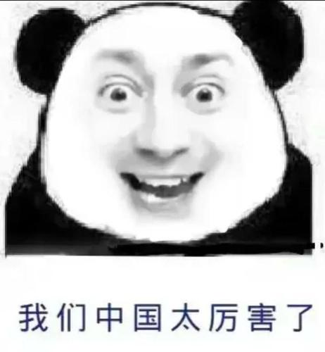 熊猫头表情包~我们中国太厉害了(财富密码)