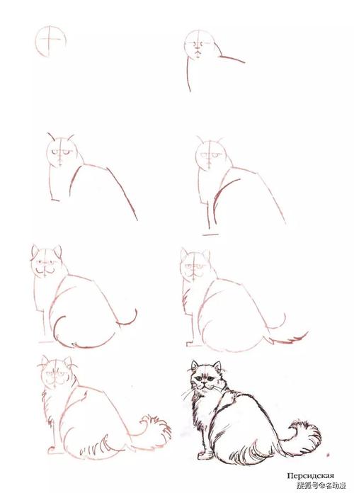 给大家分享一组小猫咪的画法,铲屎官再也不用担心不会