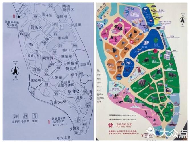 我爱广州动物园