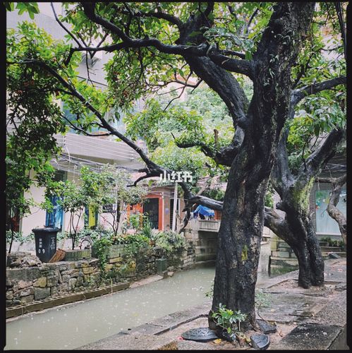 终于找到藏在广州的文艺古村——小洲村～_小洲村_文艺_小洲村自由行