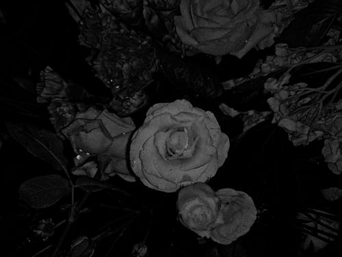 背景图～暗色系调