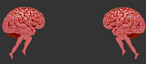 释放了另一个灵魂的裂脑人用诡异的行为揭发了大脑最深的秘密