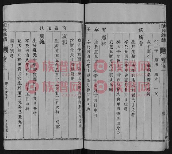 10田氏族谱101126–1962第2本