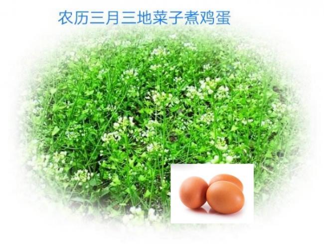农历三月三地菜子煮鸡蛋