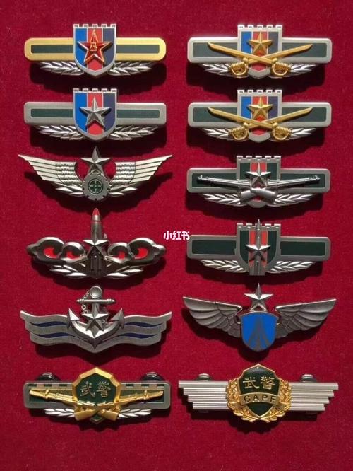 我军各军兵种的胸标_公务员考试_我的第一篇笔记_教育