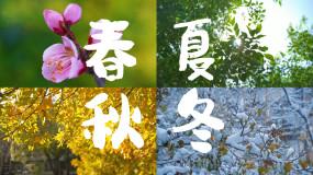 【4k原创】春夏秋冬四季更替唯美空镜视频素材