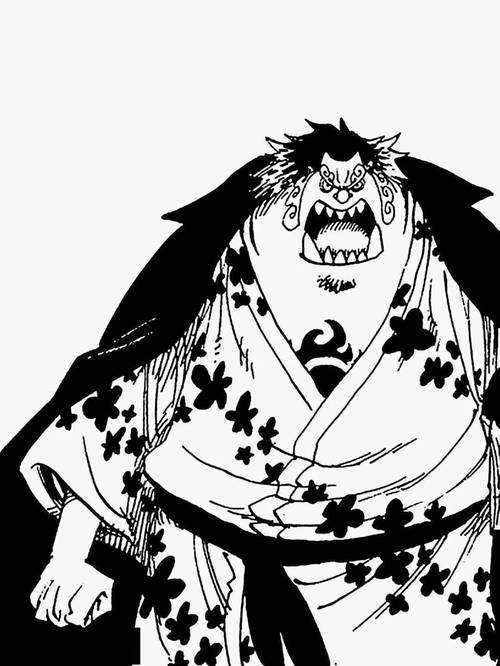 海贼王壁纸|黑白甚平!