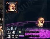 无忧姐讲故事第四十四期:金毛球的生活原型 - dnf玩家截图 - 地下城与