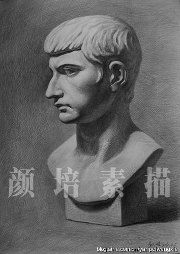 2010年07月06日(素描石膏像:罗马青年侧面)