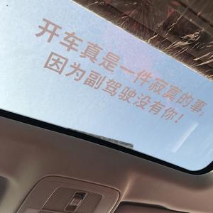 开车真是一件寂寞的事汽车个性创意网红文字定制天窗反光车贴纸