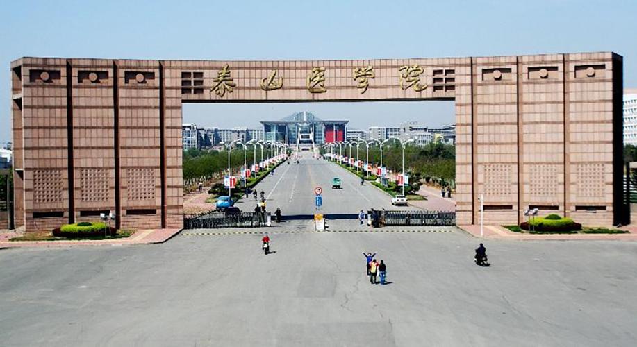 2019医科大学排行榜2019中国最好医科大学排名公布准山东第一医科大学