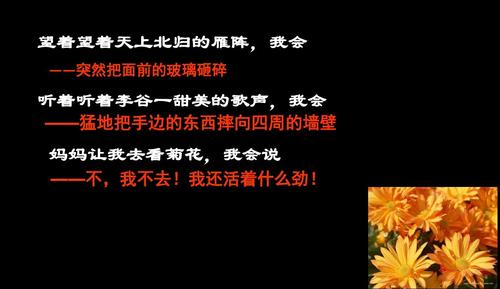 人教版2017初一七年级(上册)语文 秋天的怀念史铁生ppt课件