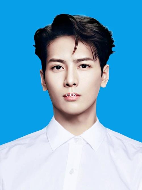 王嘉尔证件照  这也太好看了!_证件照_娱乐_明星