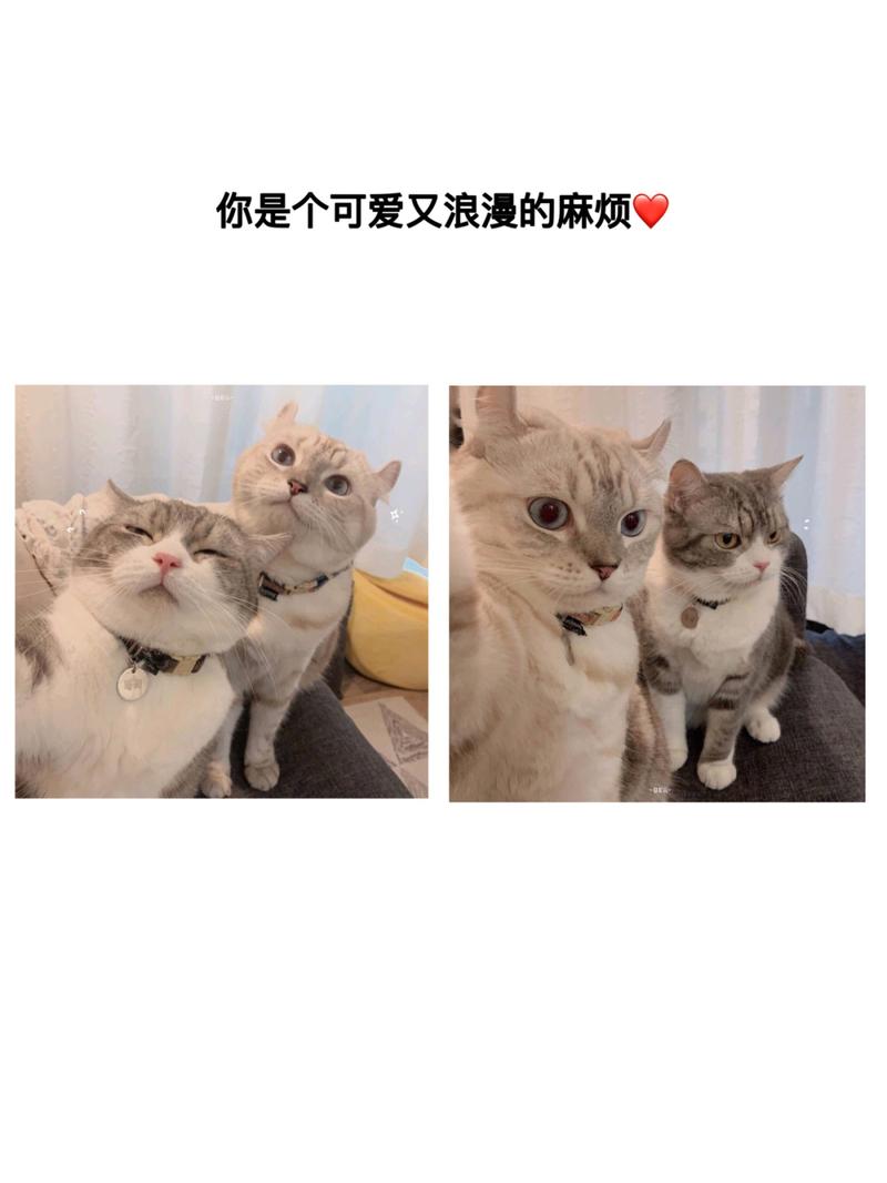 情侣头像