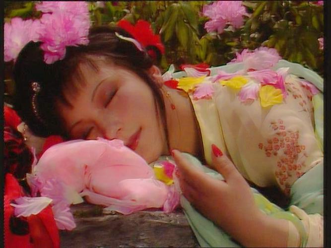 湘云醉卧
