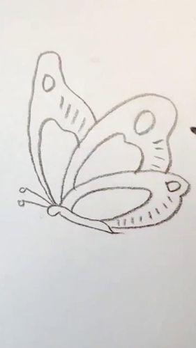 蝴蝶花的画法手抄报 花的手抄报