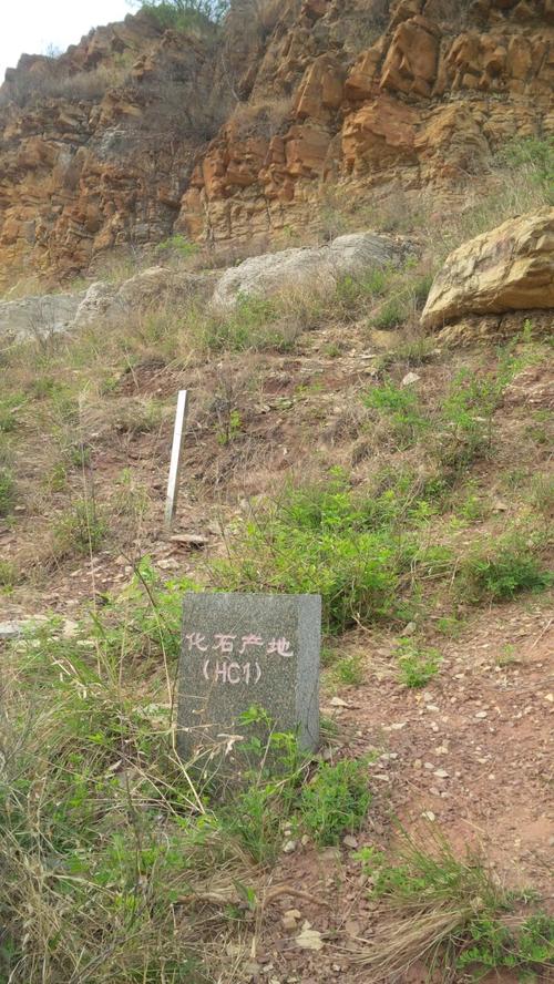 4月23日星期六游览世界第三地质名山济南张夏馒头山