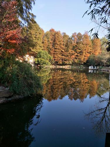 初冬的美景——共青森林公园