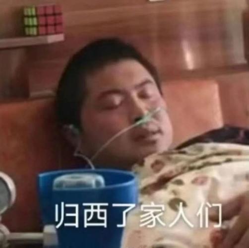 表情包|归西了家人们