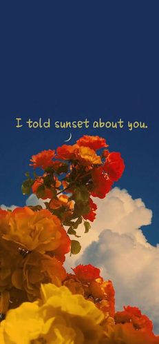 想求个图当平板的壁纸