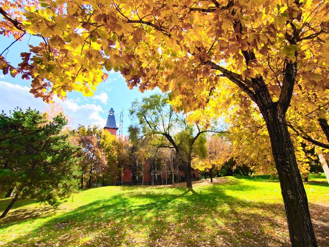 秋天里的童话— —哈尔滨太阳岛