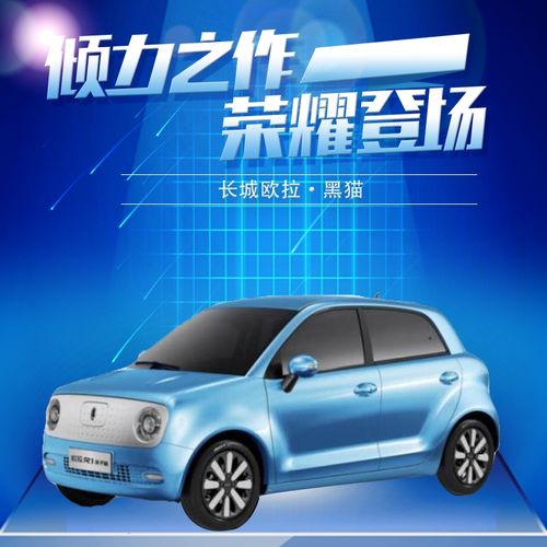 欧拉2021豪华版,2021款e300l豪华版 【全款整车】长城欧拉 黑猫 2021款351km豪华版