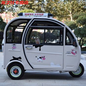 全封闭成人电动三轮车家用迷你电瓶车带棚新款小型代步车高配裸车钢丝
