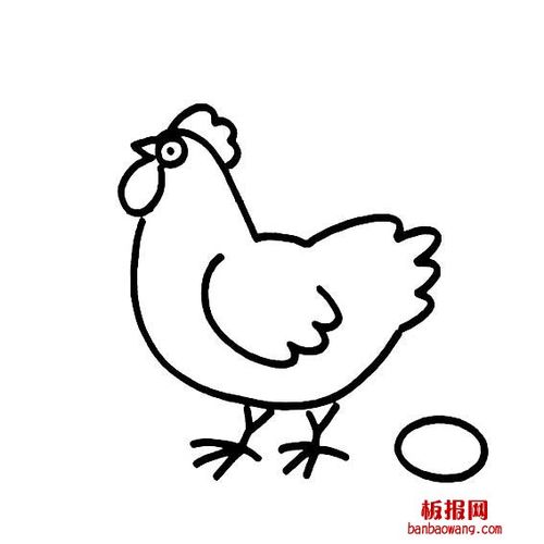 母鸡和鸡蛋的画法