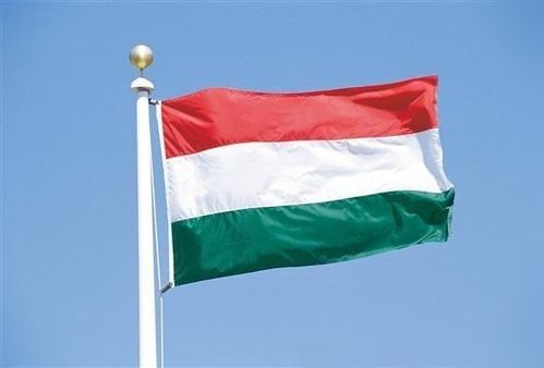 红白绿横着的三色国旗中间有个标志是哪个国家