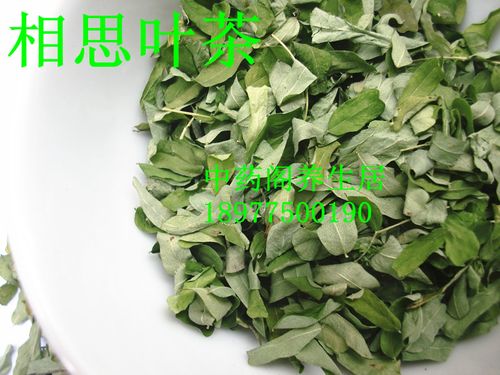 相思叶,相思藤,相思藤叶/山甘草叶/寸节七叶 支气管炎