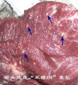 简单介绍囊虫病图片_感染科_百姓健康网