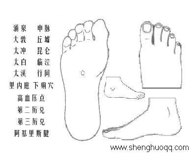 位置:足底前三分之一与后三分之二交界处.  主治:开窍醒