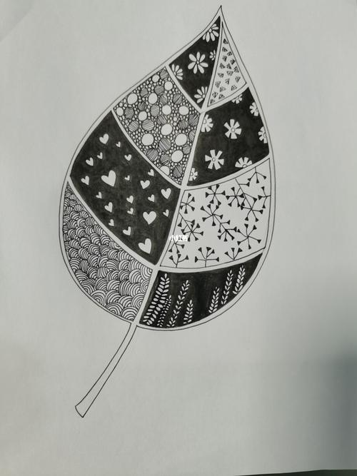 线描画 树叶 黑白画