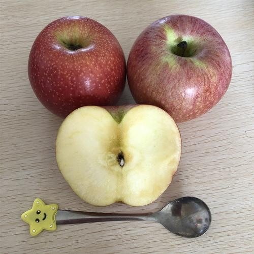 精选s级现货粉面苹果宝宝刮泥婴儿老人吃的新鲜水果甜2斤4斤5斤5斤