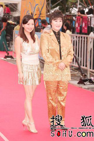 专题 颁奖盛典 第十七届台湾金曲奖 金曲奖精彩图集  狄英莺和叶青以