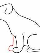 小狗简笔画图片教你怎么画小狗