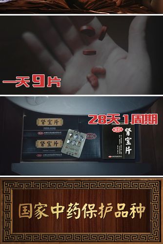 汇仁 肾宝片 体验盒装 0.7g*45片